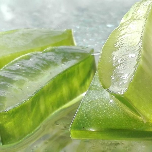 TOPPING ALOE VERA / TOPPING LIDAH BUAYA, KESEHATAN BERPADU DENGAN KELEZATAN, MENUTRISI TUBUH DARI DALAM