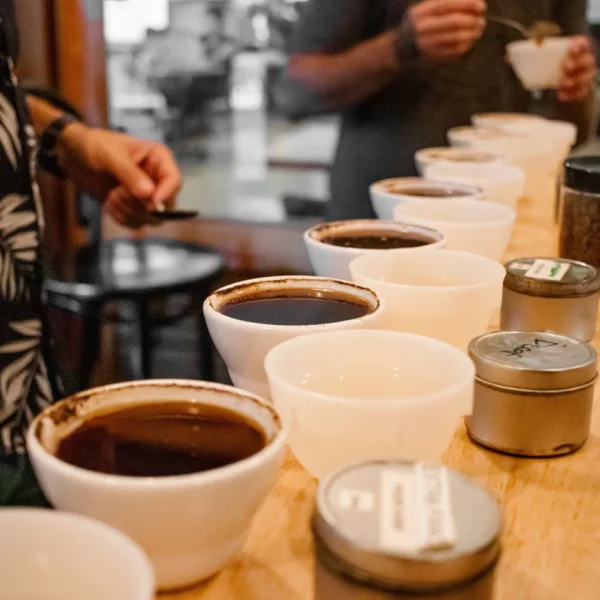 Pencicip Minuman, Kualitas Air dan Seduhan Kopi - honoulucoffee.com