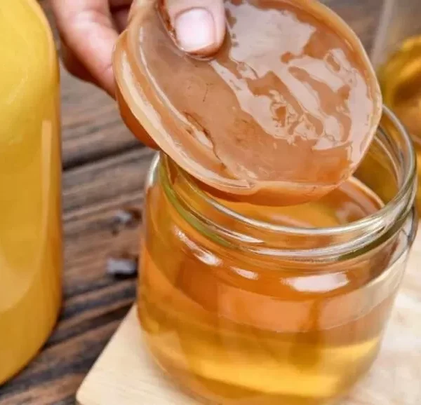Teh Kombucha