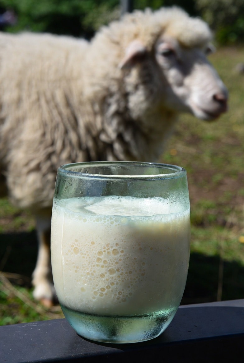 Read more about the article Minuman Probiotik Apa Saja? …No 7 Unik Asam Pedas Loh..