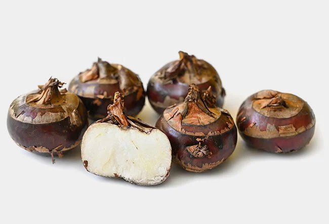 Water Chestnut - Marcwiner.com